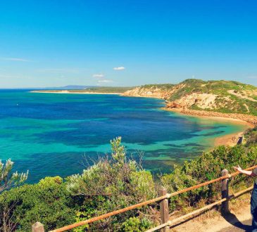 Melbourne to Mornington Peninsula Day Tour