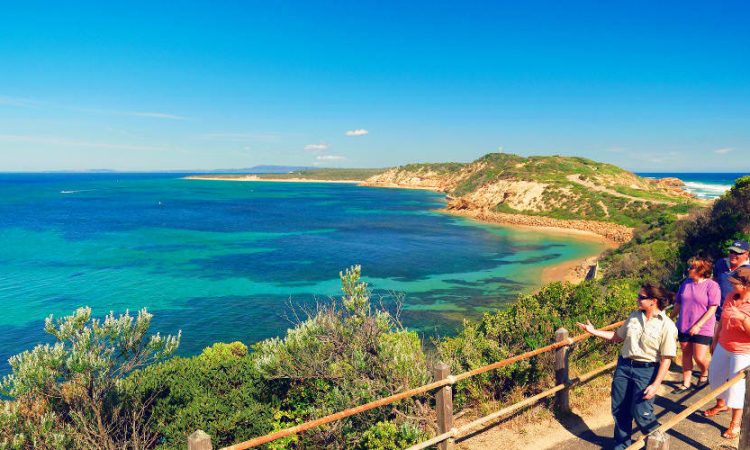 Melbourne to Mornington Peninsula Day Tour