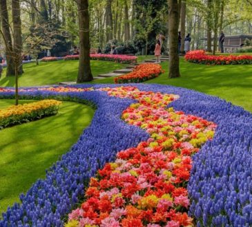 Keukenhof Gardens in spring