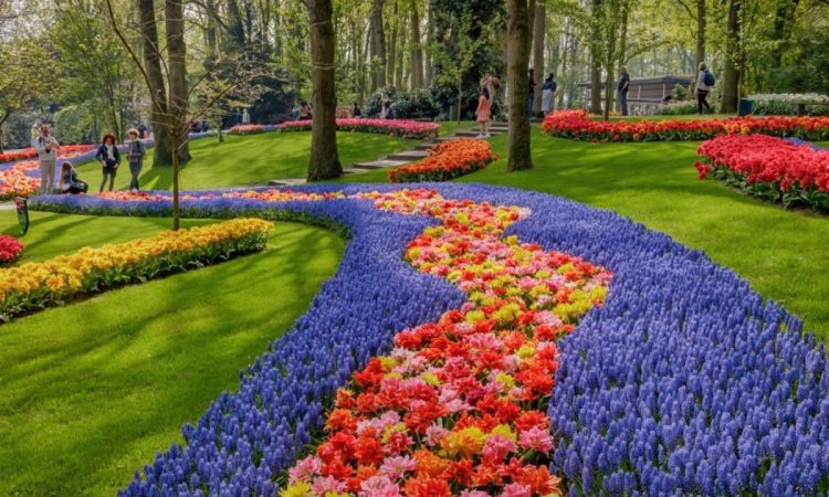 Keukenhof Gardens in spring