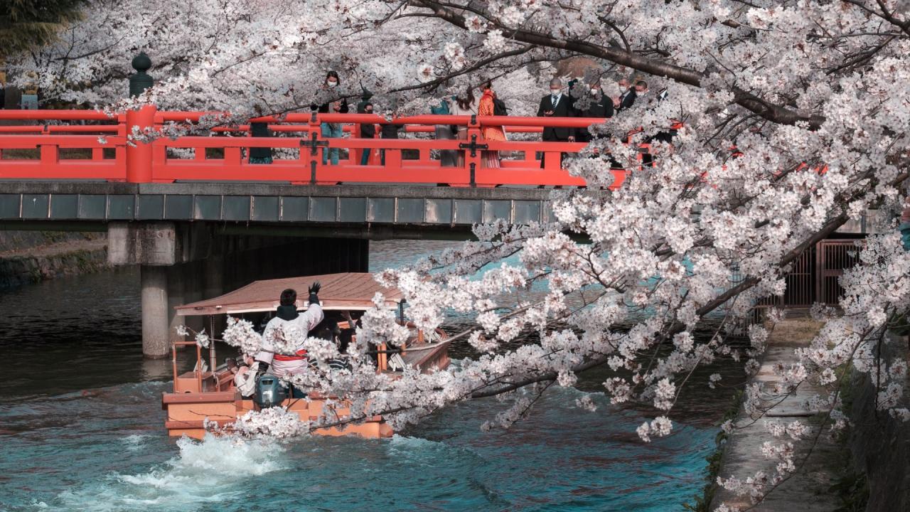 Kyoto Japan in Spring