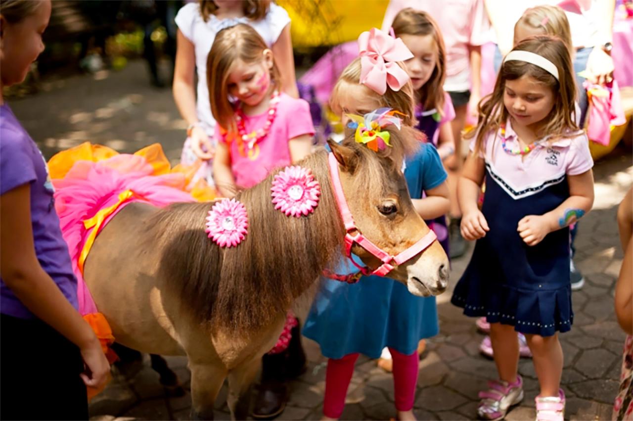 Petting Zoo Birthday Party Atlanta : Top Petting Zoos For Hire In Atlanta Ga 100 Guaranteed ...